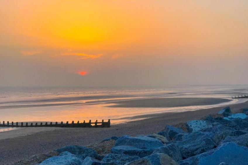 Rainbow Petty - foto 27