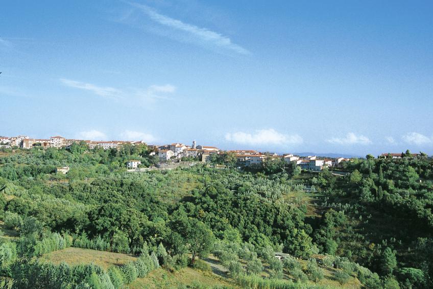 Podere Boscherini - foto 84