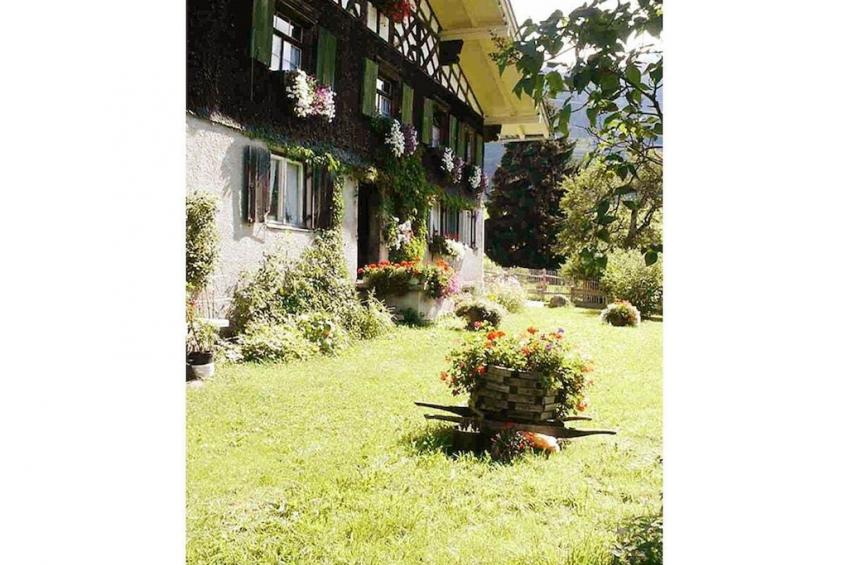 54950 - foto 3