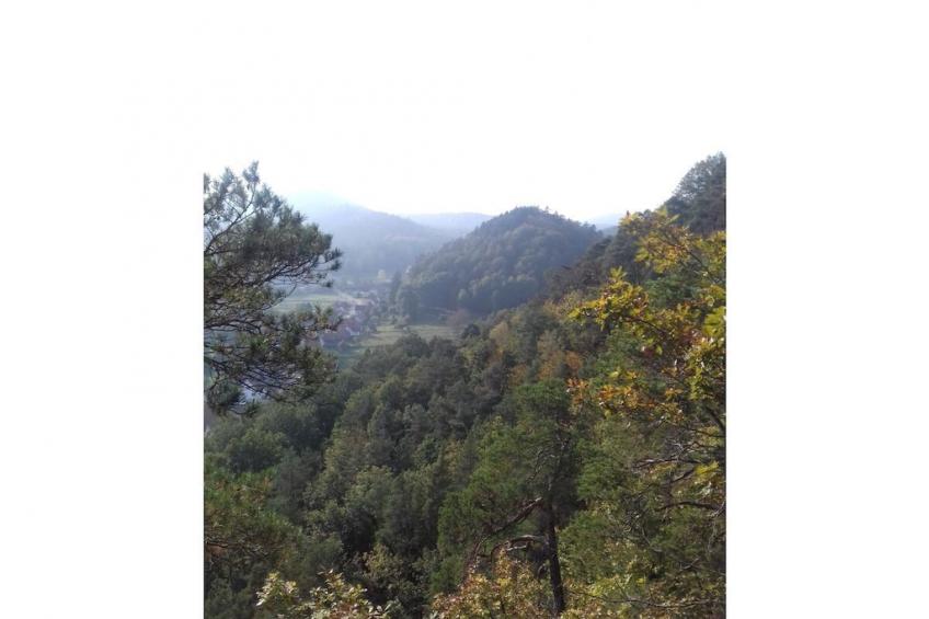 254594 - foto 35