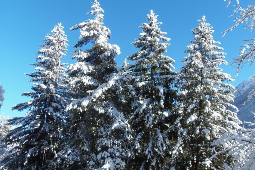 Alte typische Engadinermühle - foto 47