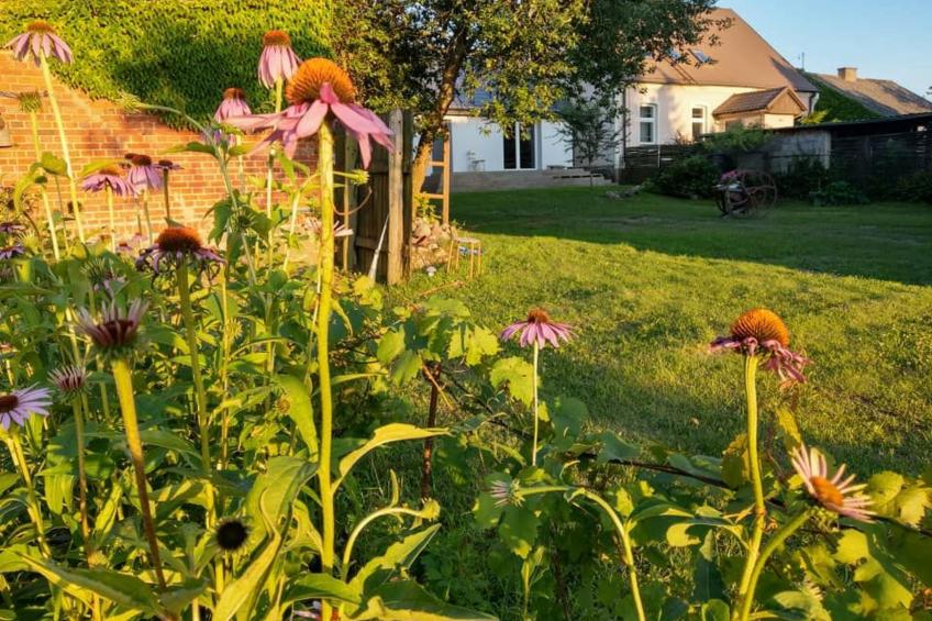 Ganzes Haus zur alleinigen Nutzung im Herzen des Zielonka-Waldes - foto 22