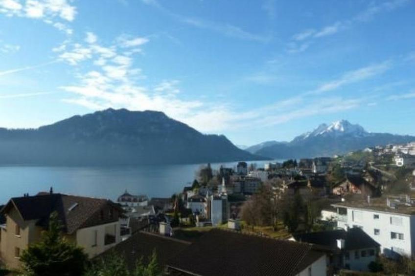 Hoegerli Alpenblick - foto 8