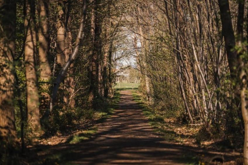 Sylvies lodge - foto 24