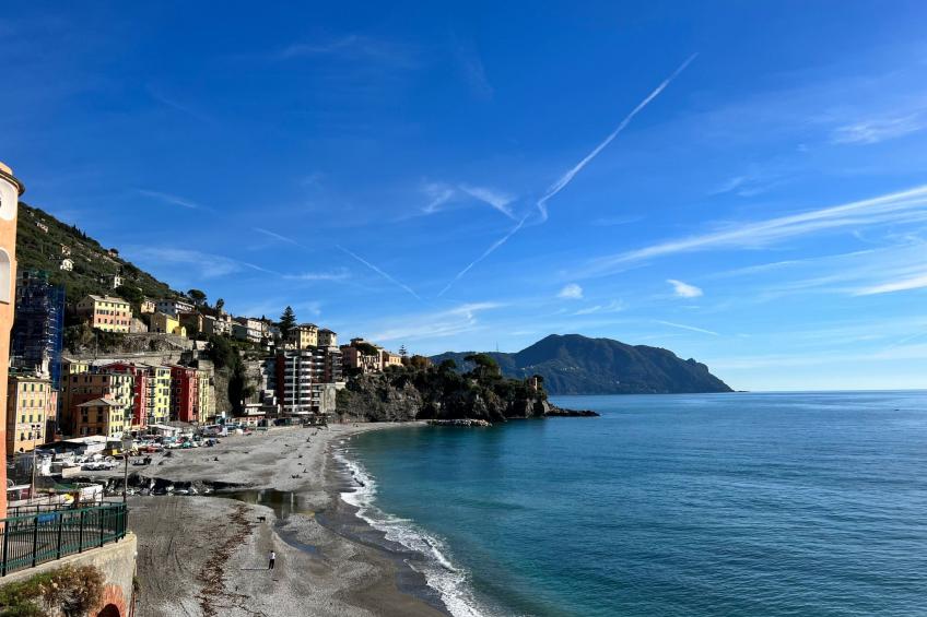 'La Dedina - foto 18