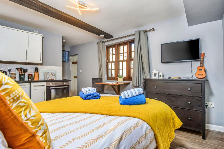 Ukulele Studio - foto 4