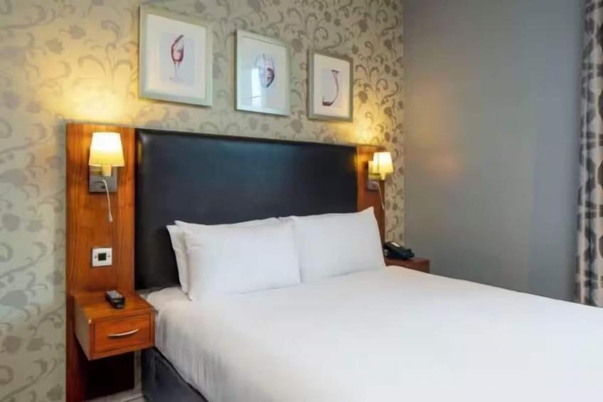 Standard King Room - foto 17