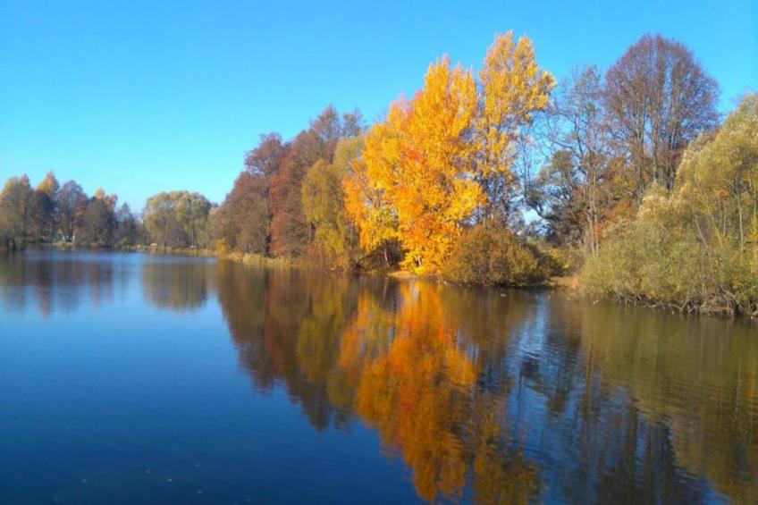 Ferienwohnug an der Saale - foto 34
