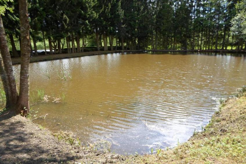 Domaine Des Messires 2 - foto 11