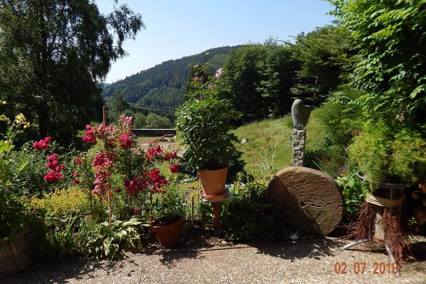 Haus Wiesental - foto 7