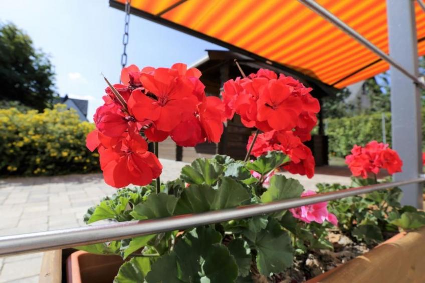 Kinderfreundliches Ferienhaus in Mastershausen mit Garten, Grill und Terrasse - foto 44