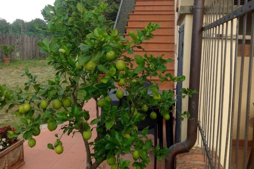 Behindertengerechtes Drei-Zimmer-Appartement, Typ E - foto 15