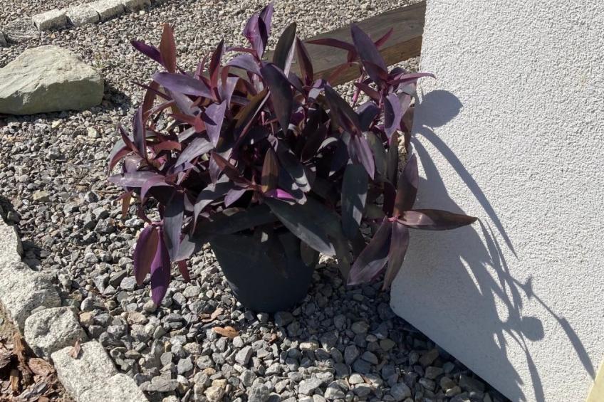 Tor der Berge - Hütte Wolf - foto 52