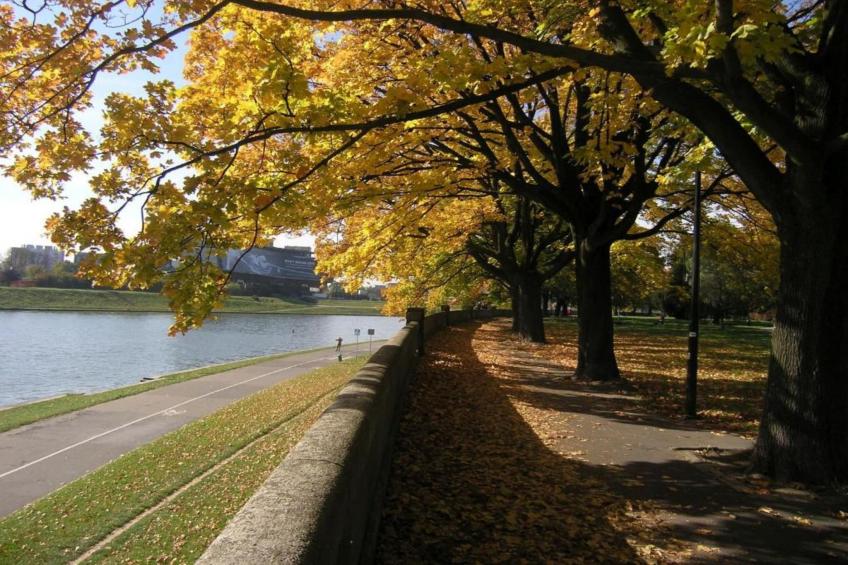 Down Town Krakow - foto 23