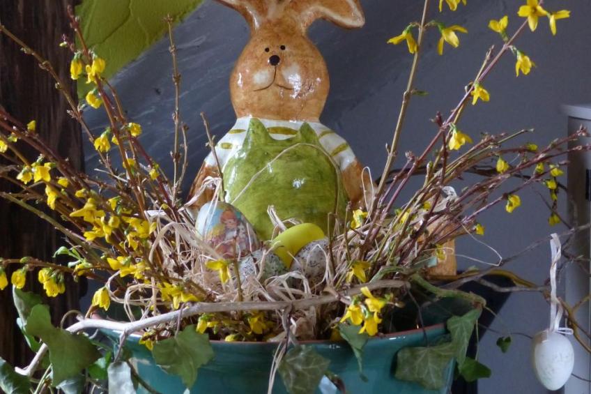 Domäne mit Terrasse, Grill und Garten - foto 32