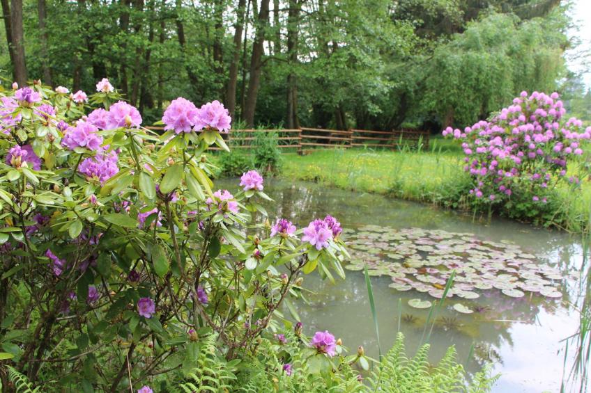 Ferienvilla mit eigener Sauna - foto 38