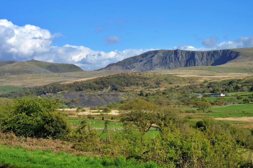 Delfryn - foto 23