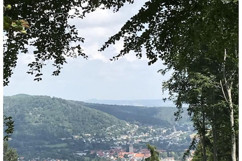 588803 - foto 18