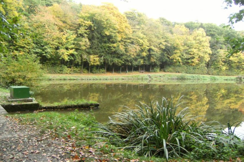 San Luca - Trilo 1 - foto 38