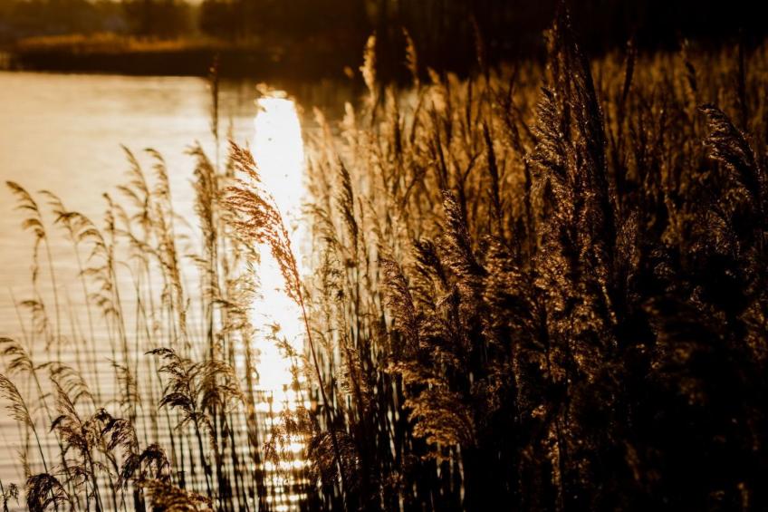 Residenz KrakowerSee - foto 19