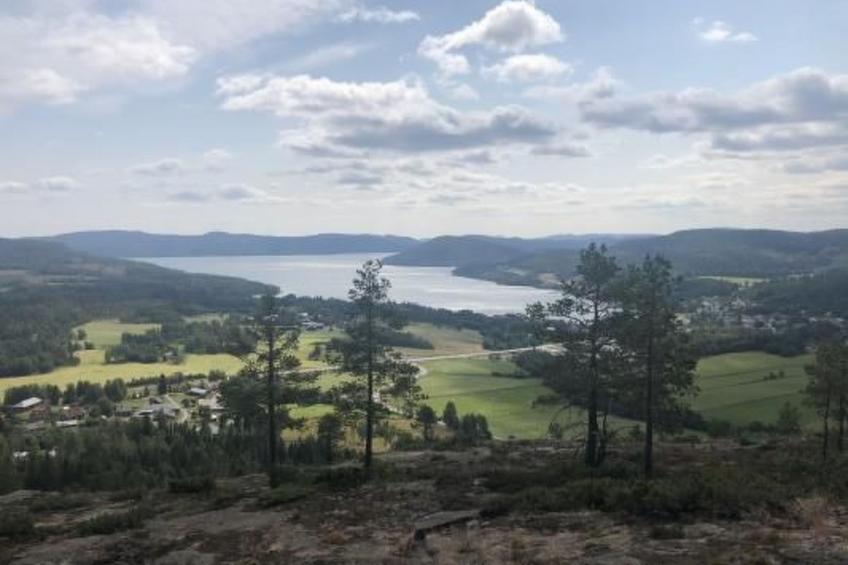 Solbacken Cottage und Lodge - foto 39