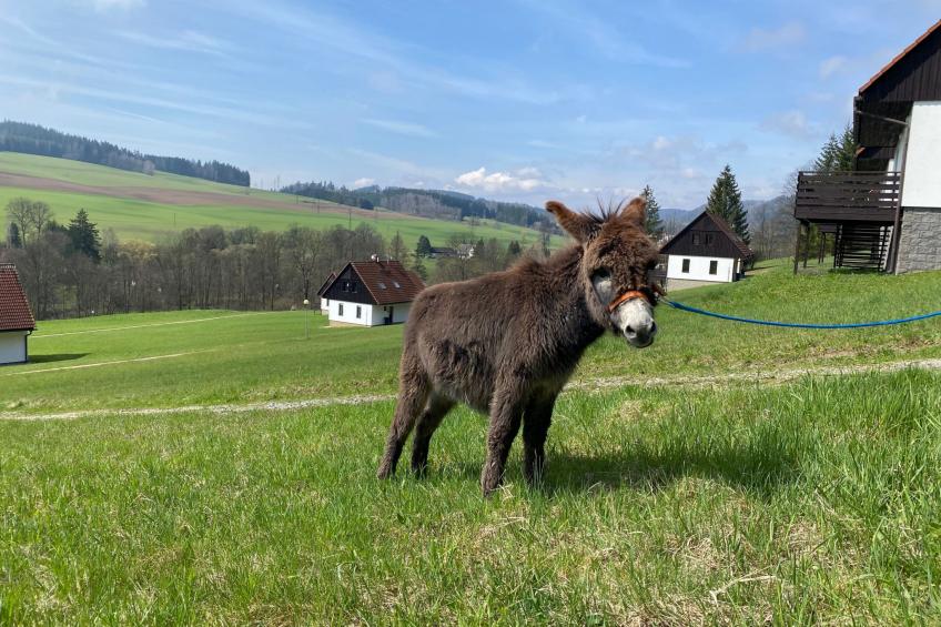 mit Terrasse - foto 43
