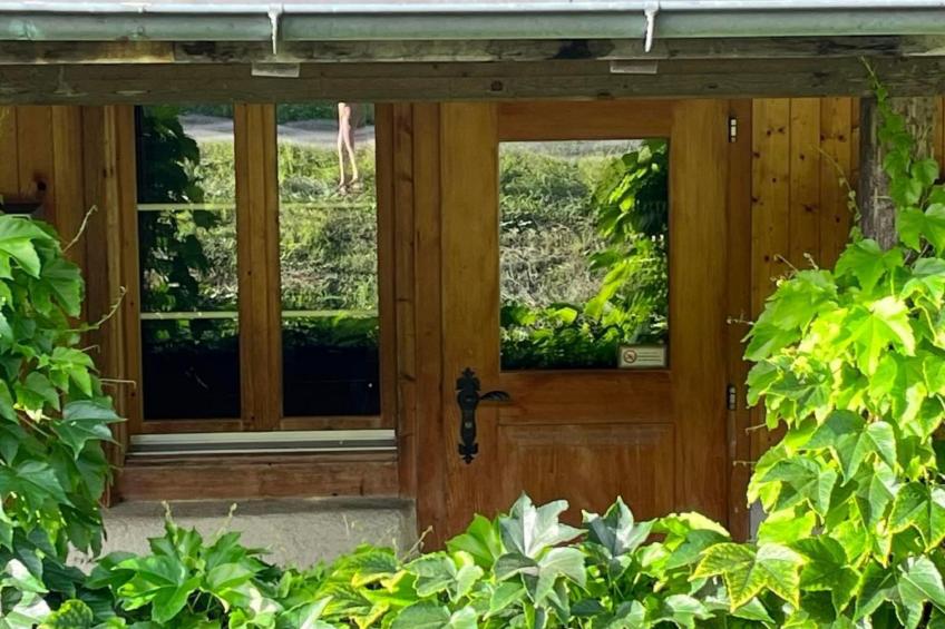 Chalet Alpen Lotus - foto 2