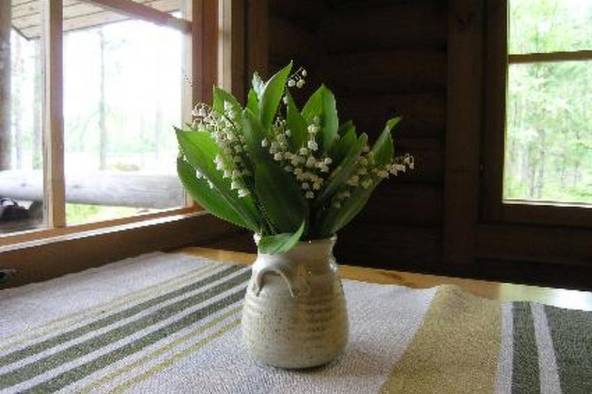 Mökinniemi - foto 30