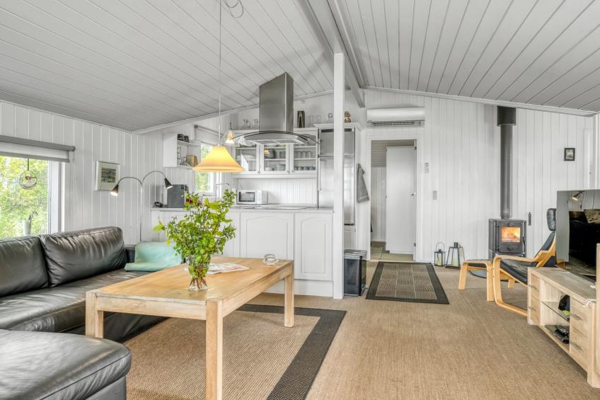 "Eske" - 200m to the inlet in The Liim Fiord - foto 23