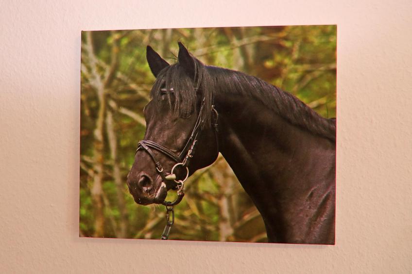 Ferienhäuser Inselblick / Ferienhaus 2 60 qm - foto 23