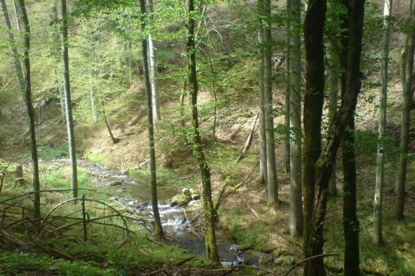 Pilmeroth 20 - foto 28