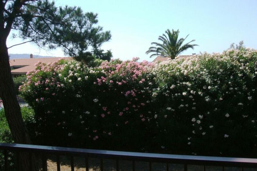 Casa Argentario - foto 7