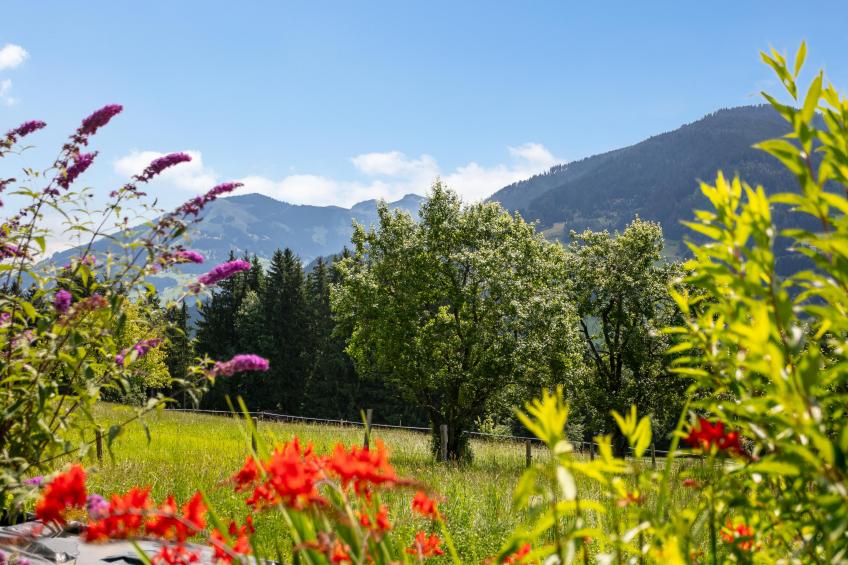 Weberhäusl am Penningberg - foto 22