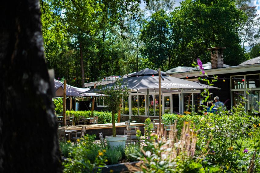 Vakantiepark de Woeste Hoogte 2 - foto 15