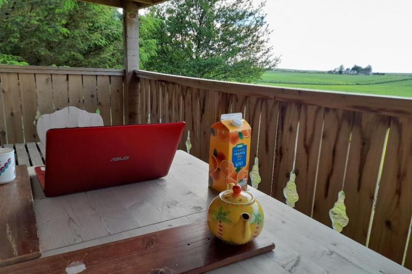 "Der Kornspeicher" mit Terrasse - foto 9