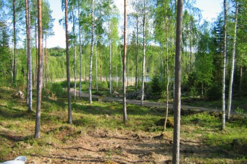 "Ruhmaslehto" mit Blick auf das Wasser - foto 44