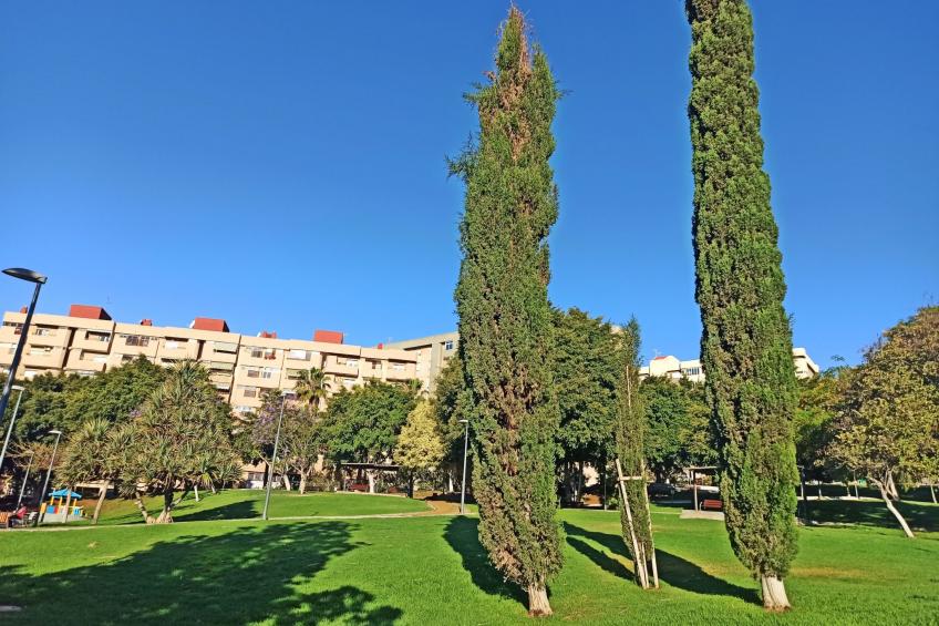 City Loft Santa Cruz - foto 21