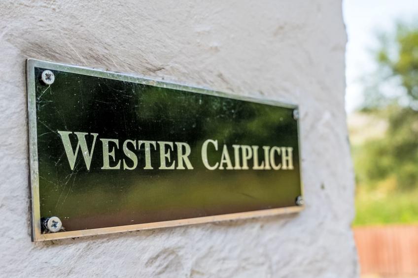 Wester Caiplich - foto 6
