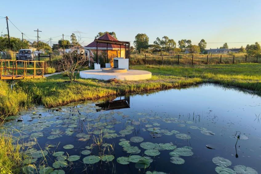 National Park View - foto 12