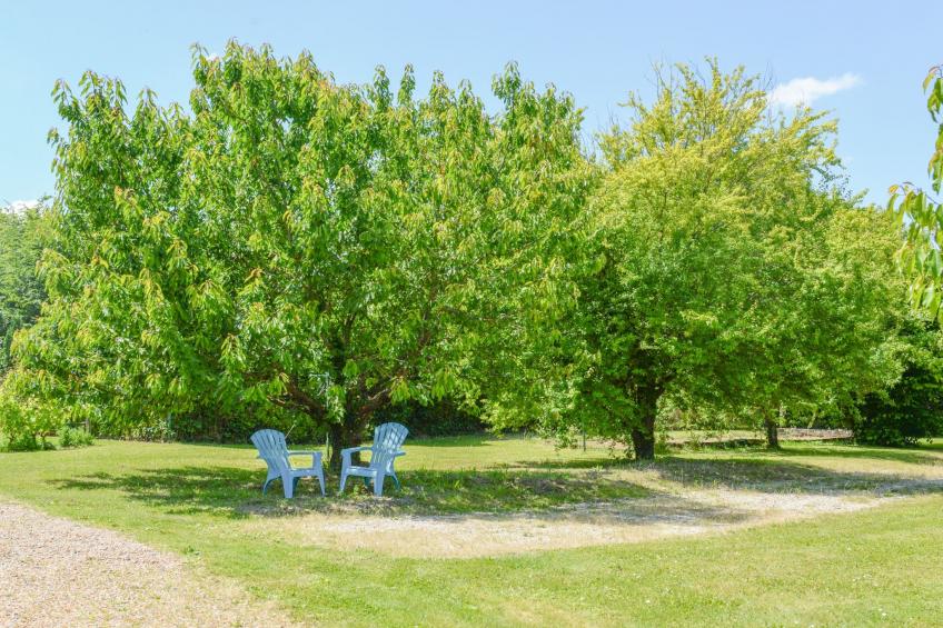 Der Ruf der freien Zone - foto 27