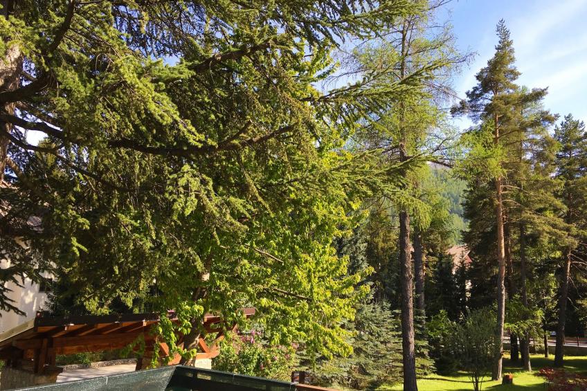 'San Francesco - foto 24