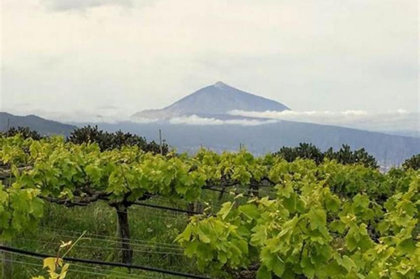 Finca "Sunny Scape Rural - foto 37