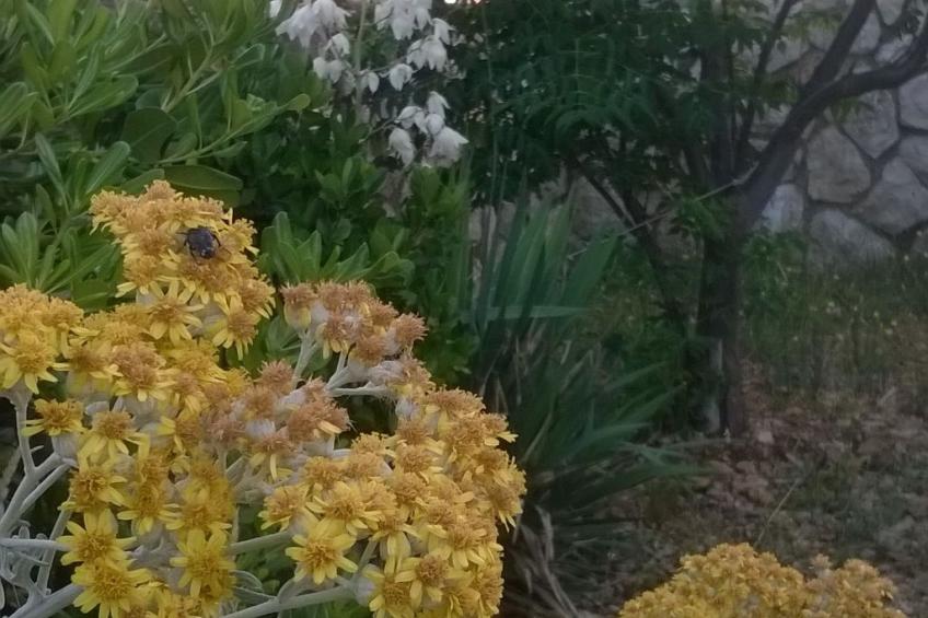 Appartement - foto 20