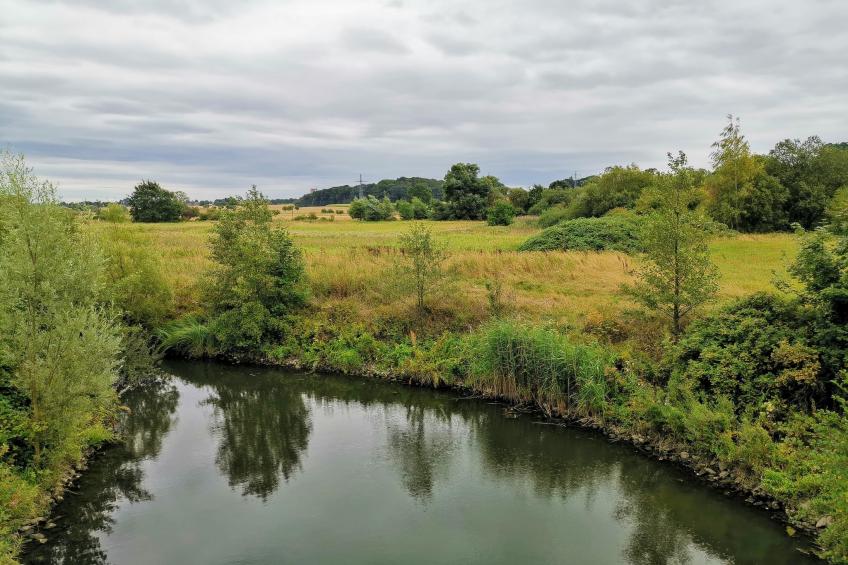 Mercure Hotel - Standard Twin Room - foto 34