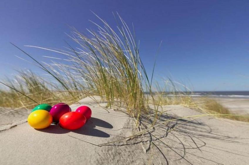 La Frégate - foto 29