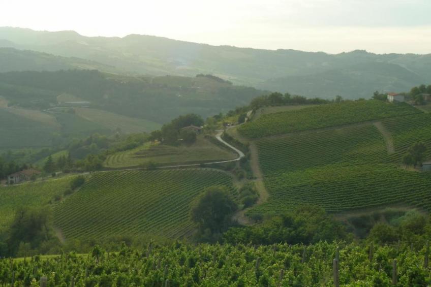 Appartamento Le Colline - foto 38