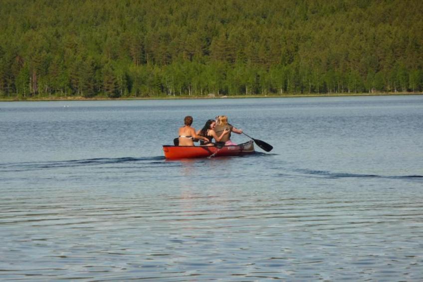 Letafors Herrgård - foto 27