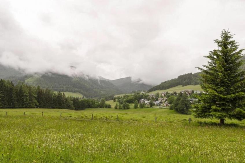 Domus Magnus - foto 37