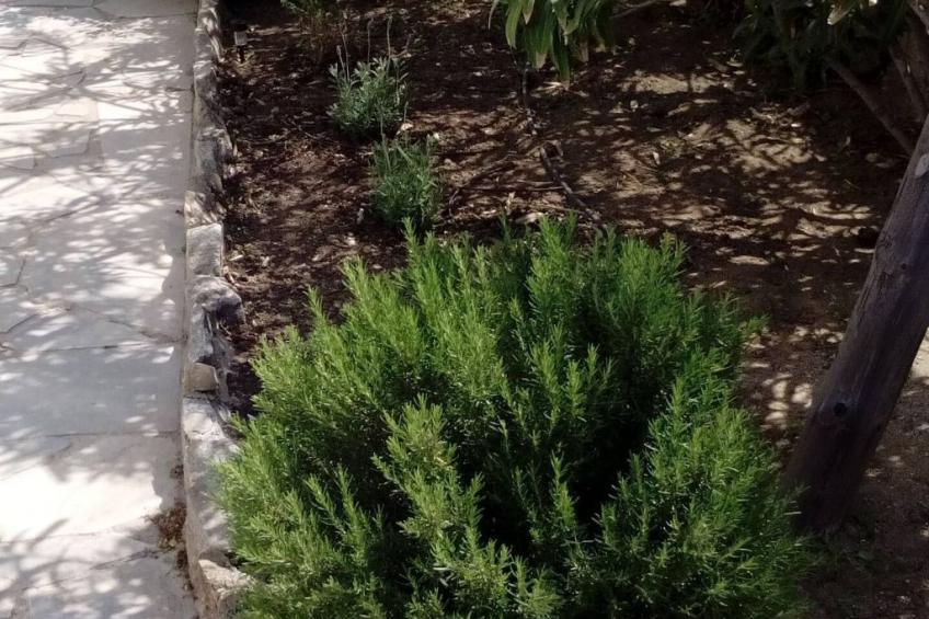 "Mykonian Aroma" mit Pool - foto 34