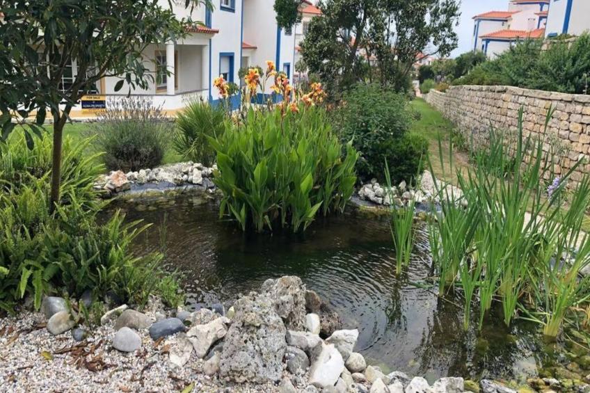 Atmen Sie die Meeresbrise in Praia Del Rey ein - foto 22